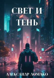 После Лёгкой Прожарки: свет и тень (4 книга)